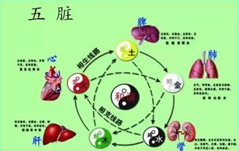 七沖門|中醫小貼士：難經「七沖門」的概念與生理病理